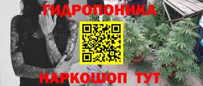 соль ск Ставрополь
