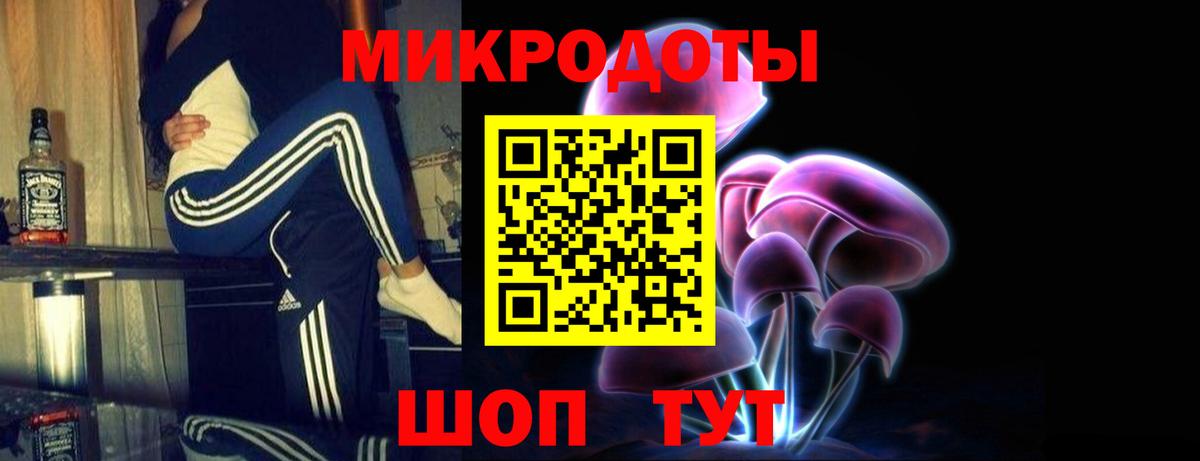 Псилоцибиновые грибы Cubensis Брянск