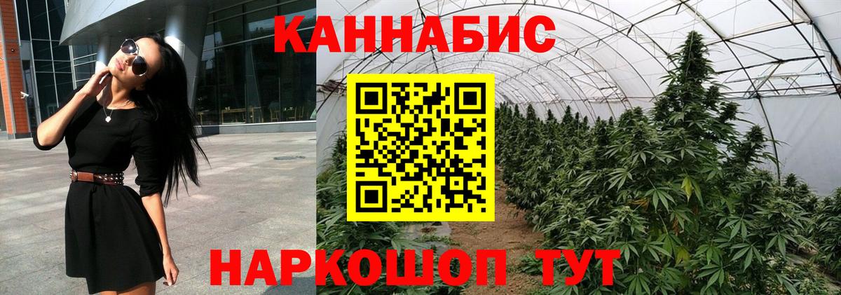 Каннабис план  Бошки Шишки ГИДРОПОН  Бошки Шишки план  Брянск  Вход с VPN  Бошки Шишки SATIVA & INDICA 